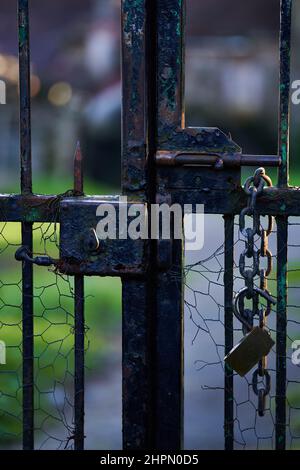 Metal fence with peeling paint and old chains with closed padlock hanging Stock Photo