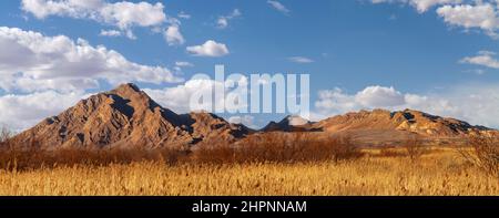 Panoramic of Frenchman Mountain from the Clark County Wetlands Trail in Las Vegas, Nevada. Stock Photo