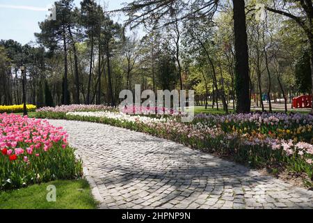 Walk in the park on spring Stock Photo
