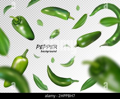 Falling green chili or chilli pepper isolated on transparent Realistic vector, 3d illustration Stock Vector