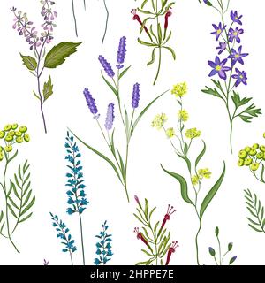 Seamless image of wildflowers herbs. Hand drawing. Seamless for fabric design, gift wrapping paper and printing and web projects. Vector Stock Vector