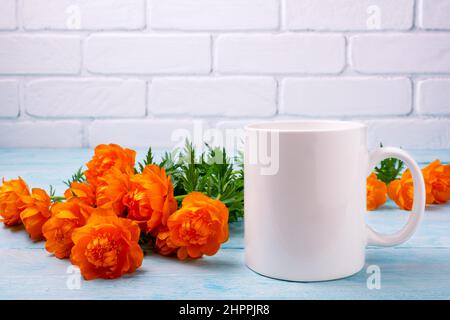 White coffee mug mockup with globeflowers on the blue table. Empty mug mock up for design promotion, styled template Stock Photo