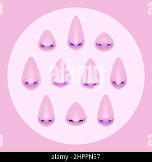 Set of Different Noses. Face Part Illustration. Vector illustration Stock Vector