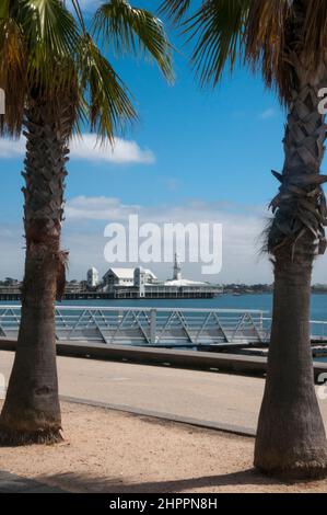 Cunningham Pier seen through the palms on Western Beach, Geelong, Victoria, Australia Stock Photo