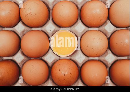 Broken egg with many eggs and yolk visible. Stock Photo