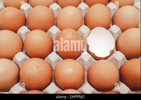 Eggs isolated on white background Stock Photo