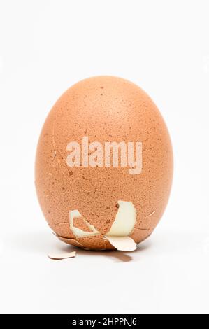 Close-up of a Columbus egg standing on a white background Stock Photo