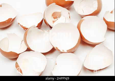Broken eggshell collection on white background. Stock Photo