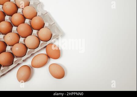 The white background with copy space and the eggs in the paper tray. Stock Photo