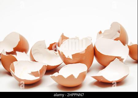 Broken eggshell collection on white background. Stock Photo