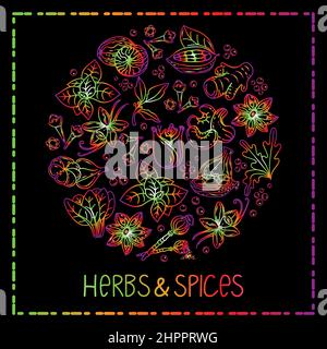 Hand-drawn herbs and spices in a doodle style. Elements in a circle on a black background. Rainbow. Handwritten lettering. Nuts, spices and herbs. Pep Stock Vector