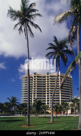 usa floride Miami Beach art deco district palm trees  building Stock Photo