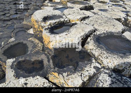 Giant's Causeway basaltic rocks close up. Summer. Sun and water. Northern Ireland. Stock Photo