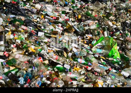 Hundreds of beer, wine and champagne bottles to be recycled Stock Photo