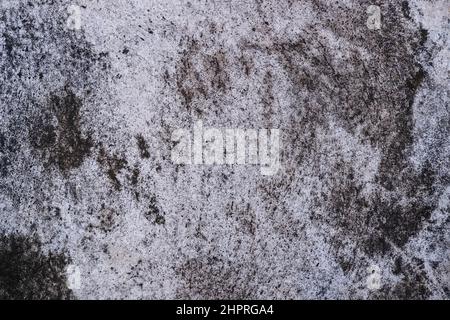 Old grunge dirty textured cement wall surface. With uneven stains and tiny holes. Stock Photo