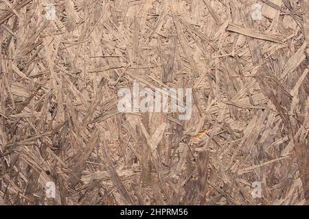Texture of Oriented Strand Board,OSB. Versatile waterproof structural wood panel that resists deflection, delamination, warping. Stock Photo