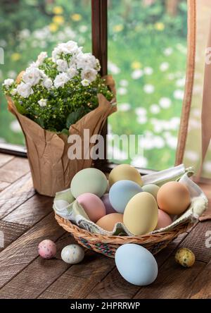 Basket of colorful easter eggs and a flowering plant on a rustic wooden table by a window with rural background Stock Photo