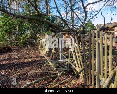 Broken fence after a storm with fallen tree Stock Photo