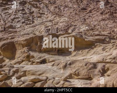 The golden calf, a rock formation in the desert of Sinai, Egypt, October 2008 Stock Photo