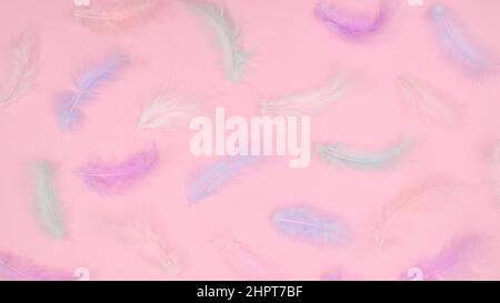 Creative Easter pattern with elegant feathers on pastel bright pink background. Flat lay minimal. Spring holidays concept Stock Photo
