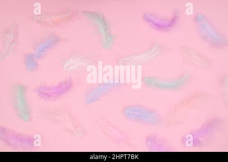 Creative Easter pattern with elegant feathers on pastel bright pink background. Flat lay minimal. Spring holidays concept Stock Photo