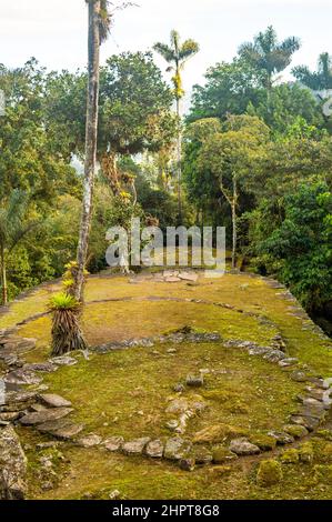 A view of the terraces of the Lost City/Ciudad Perdida in Colombia Stock Photo