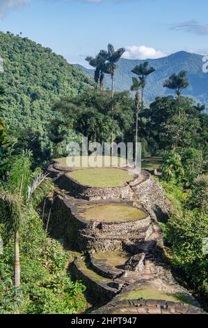 A view of the terraces of the Lost City/Ciudad Perdida in Colombia Stock Photo