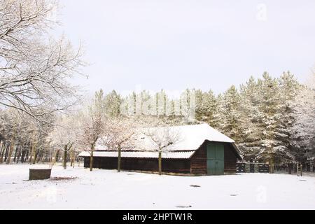 Snowy landscape of a sheepfold in a nature reserve. Staatsbossen of Sint Anthonis, The Netherlands,Europe. Stock Photo