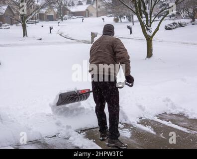 Man shoveling snow from driveway in winter back turned Stock Photo