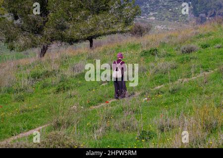 a woman walks along a path in a meadow
