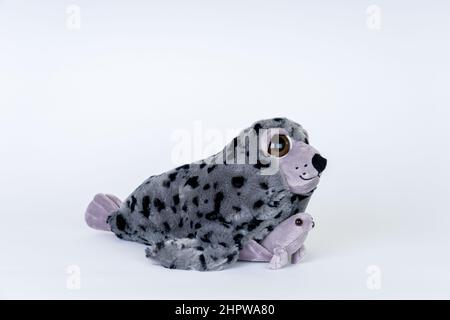 Stuffed animal Harbor Seal mother and pup on a white seamless background Stock Photo