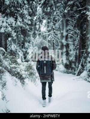 Vertical shot of a man walking in a forest in winter Stock Photo