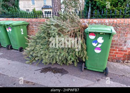 Warminster, Wiltshire, UK - January 18 2022: A row of Green Garden ...