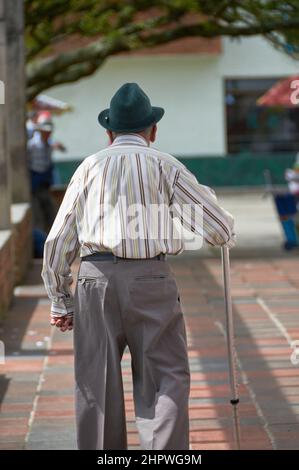 A back view of an elderly man walking on the pathway in the park Stock ...