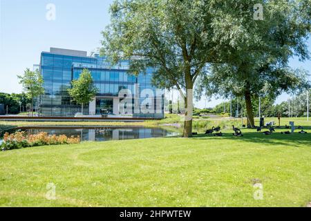 Perpsico head office in the Green Park. Berkshire, UK Stock Photo