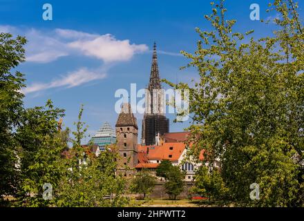 Ulm Cathedral, in front of it Danube bank, city wall, Metzgerturm, Ulm, Baden-Wuerttemberg, Germany Stock Photo