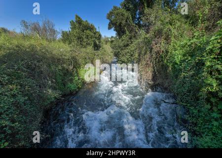 Brook Dan, headwaters of the Jordan River, Tel Dan National Park, Israel Stock Photo