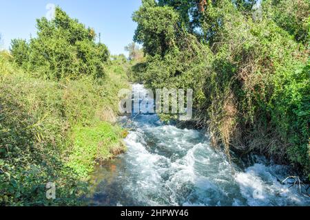 Brook Dan, headwaters of the Jordan River, Tel Dan National Park, Israel Stock Photo