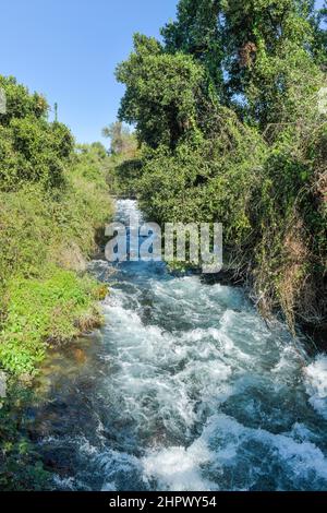 Brook Dan, headwaters of the Jordan River, Tel Dan National Park, Israel Stock Photo