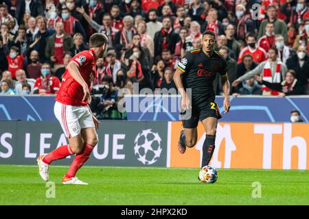 Lisbon, Portugal. 23rd Feb, 2022. Jan Vertonghen of Benfica (L) and Sebastien Haller of Ajax (R) in action during the UEFA Champions League match between SL Benfica and AFC Ajax at Estadio da Luz stadium. Final score; SL Benfica 2:2 AFC Ajax. Credit: SOPA Images Limited/Alamy Live News Stock Photo