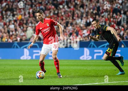 Lisbon, Portugal. 23rd Feb, 2022. Julian Weigl of Benfica (L) and Steven Berghuis of Ajax (R) in action during the UEFA Champions League match between SL Benfica and AFC Ajax at Estadio da Luz stadium. Final score; SL Benfica 2:2 AFC Ajax. Credit: SOPA Images Limited/Alamy Live News Stock Photo