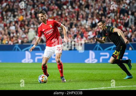 Lisbon, Portugal. 23rd Feb, 2022. Julian Weigl of Benfica (L) and Steven Berghuis of Ajax (R) in action during the UEFA Champions League match between SL Benfica and AFC Ajax at Estadio da Luz stadium. Final score; SL Benfica 2:2 AFC Ajax. (Photo by Hugo Amaral/SOPA Images/Sipa USA) Credit: Sipa USA/Alamy Live News Stock Photo