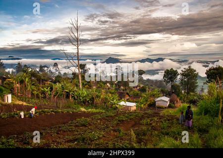 Wide view of mountainous valley in PNG with thatched village homes, indigenous trees, and villagers, one working a plot of land. Higher than the cloud Stock Photo