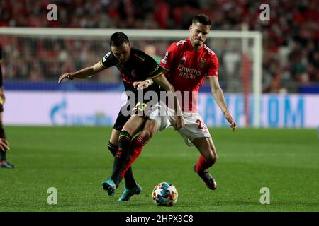 Lisbon, Portugal. 23rd Feb, 2022. Steven Berghuis of Ajax (L) vies with Julian Weigl of Benfica during the UEFA Champions League round of 16 1st leg match between SL Benfica and AFC Ajax in Lisbon, Portugal, Feb. 23, 2022. Credit: Petro Fiuza/Xinhua/Alamy Live News Stock Photo