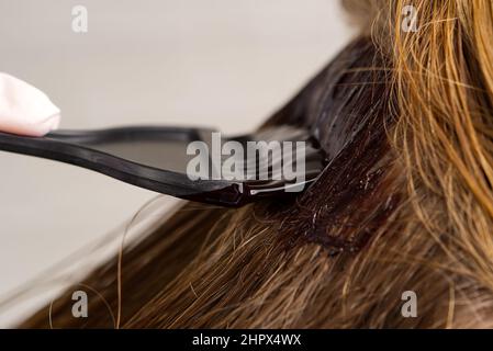 Young female hairdressed hands dyeing long hair to beautiful girl. Barber hair dye is applied with a brush Stock Photo