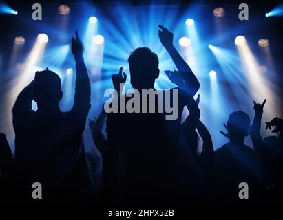 Fun at the gig. Silhouette of a crowd of young adults at a concert. Stock Photo