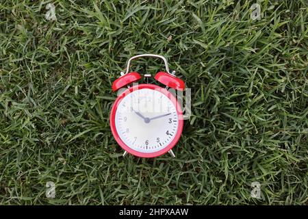 A red alarm clock on uncut green grass close-up Stock Photo