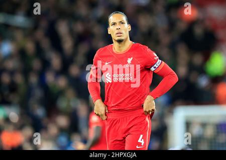 Virgil van Dijk #4 of Liverpool during the Europa League Training ...