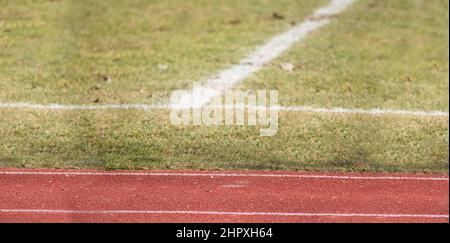 Top view of white horizontal stripe on the artificial soccer field. Artificial turf. Stock Photo