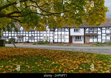 A terrace of half timbered houses in the village of Dilwyn, Herefordshire, UK; on the Black and White Trail touring route. Stock Photo